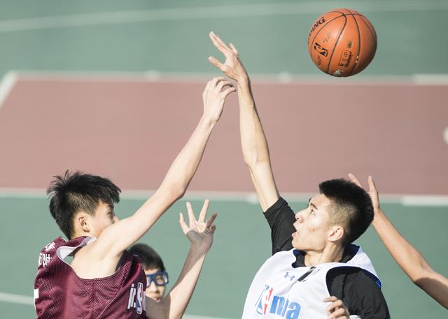 被章鱼触手到高潮网站