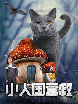 朱竹清乱世浮殇小说免费阅读