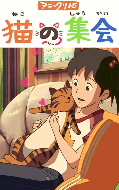操人视频91