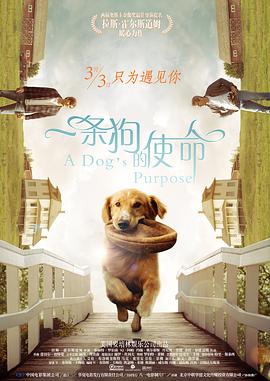 军队入伍前的正式性爱