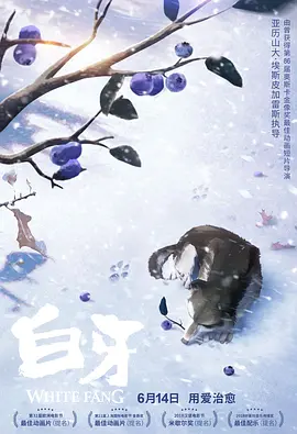 赚钱黑渠道入口网