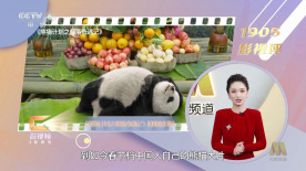 久久精品一区二区